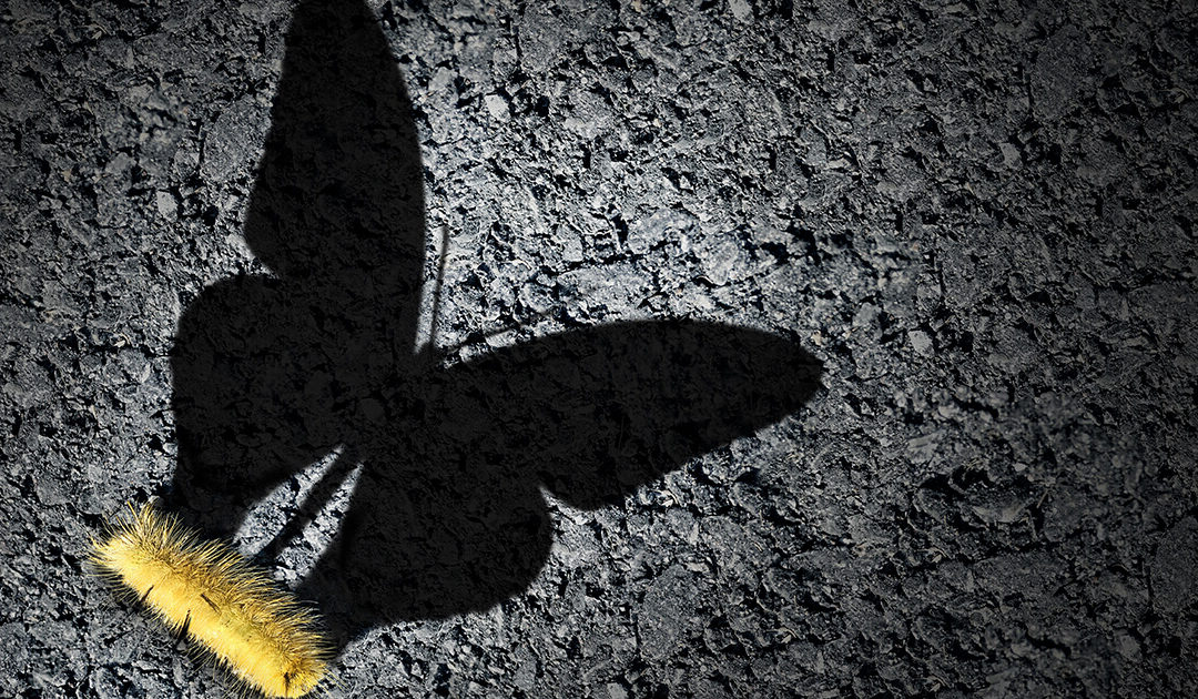 Stop Wasting Money on SEO