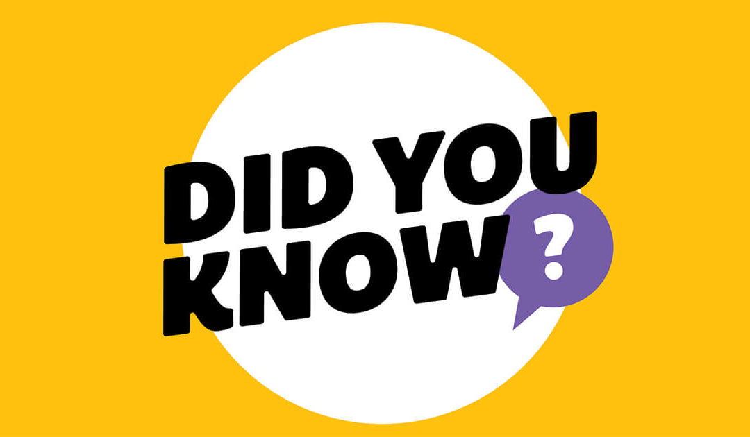 Content Creation: Did You Know?