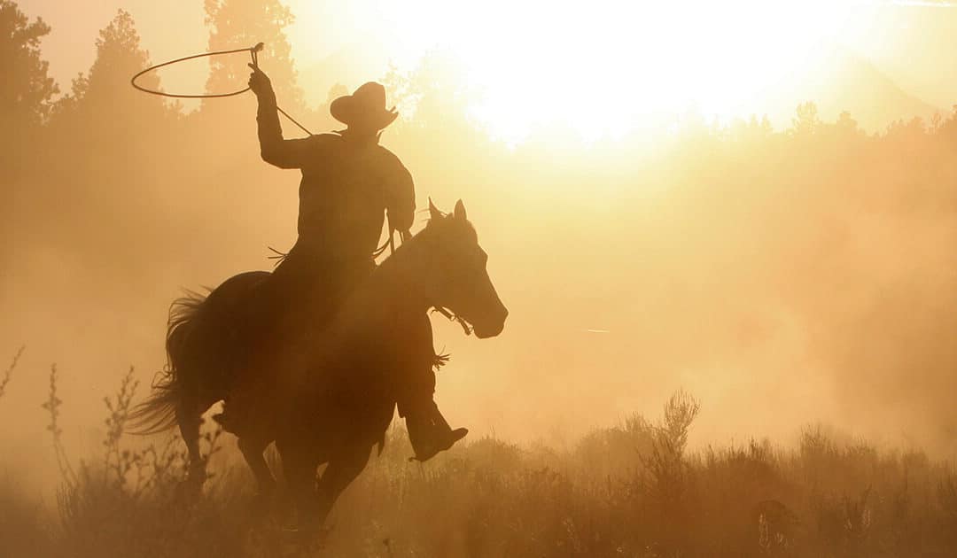 Content Creation: Link Roundup