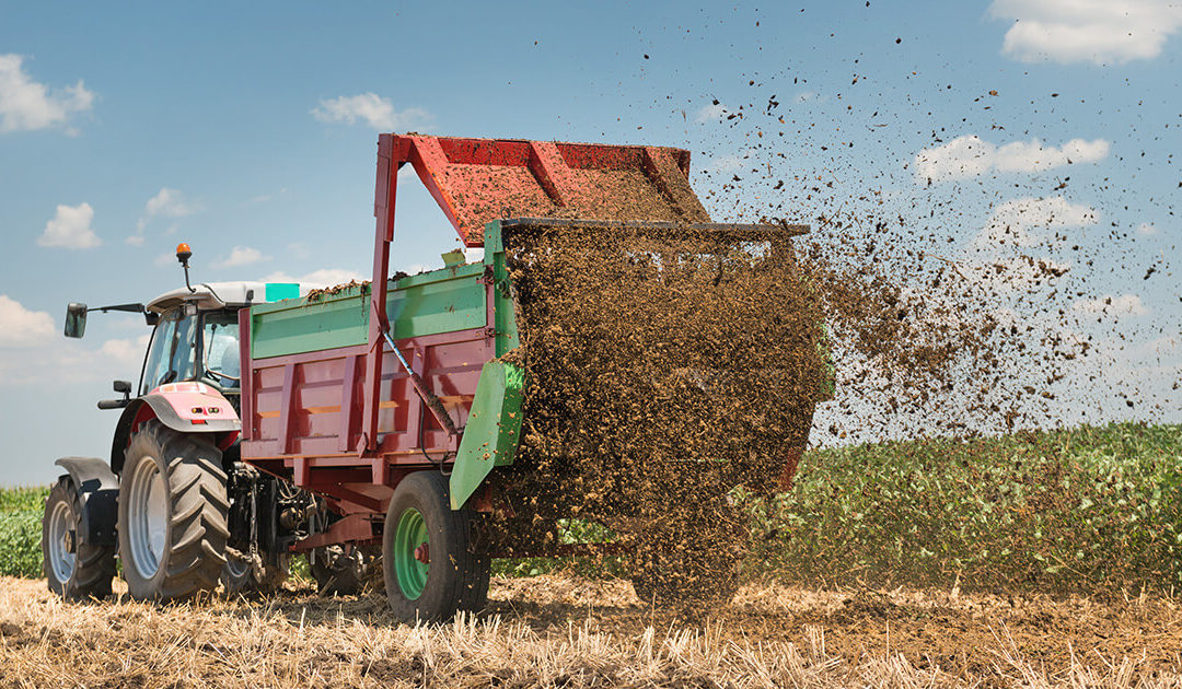 Calling Bullshit on Bullshit