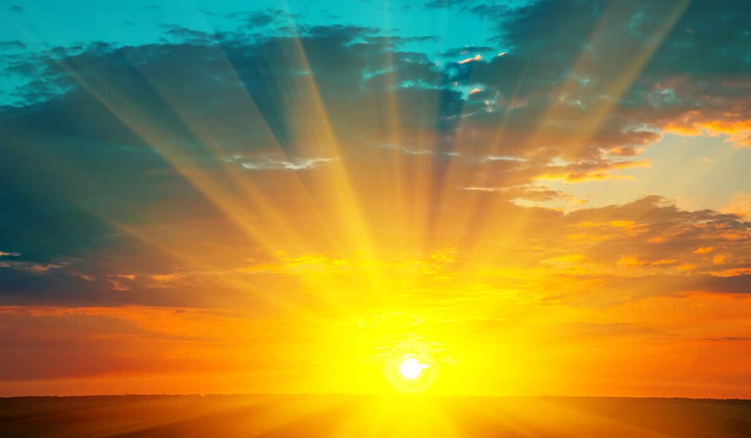 It’s Our Own New Site!