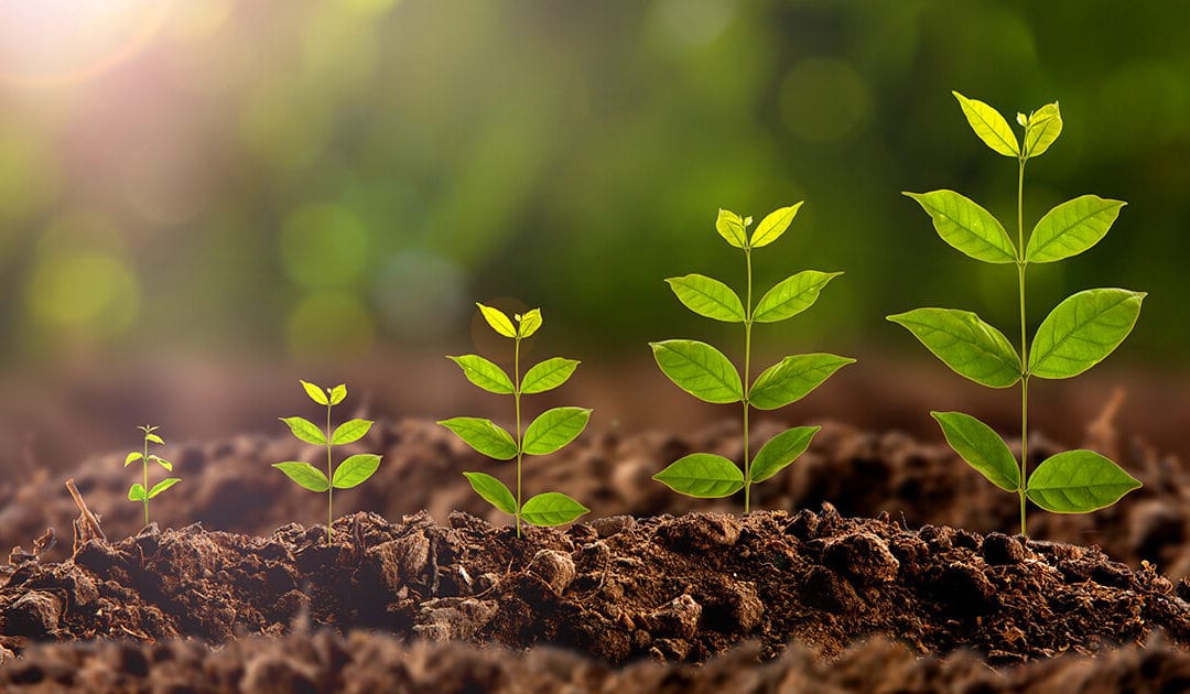 Keys to Content – Survive and Thrive