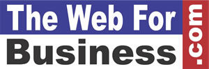 The Web For Business.com - Website Development, Online Marketing & Strategy