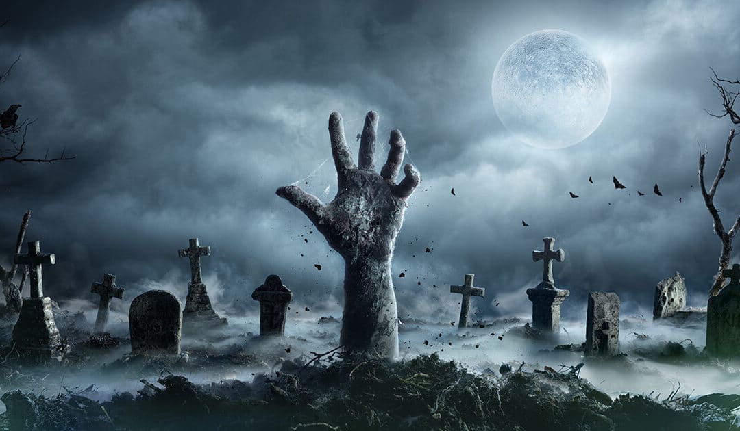 SEO Myths That Won’t Die