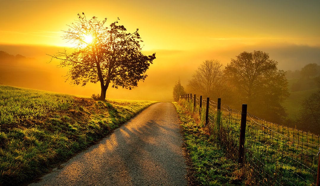 A Chance to Start Again