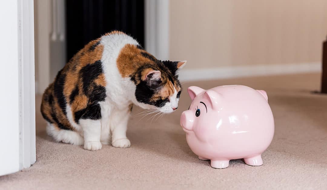 Direct vs. Brand Marketing