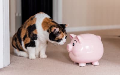 Direct vs. Brand Marketing